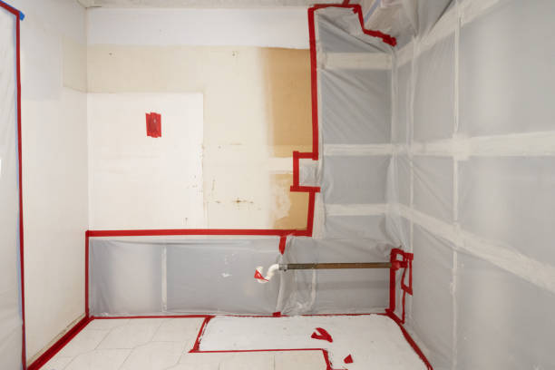 Best Mold Removal for HVAC Installations  in Oak Valley, NJ