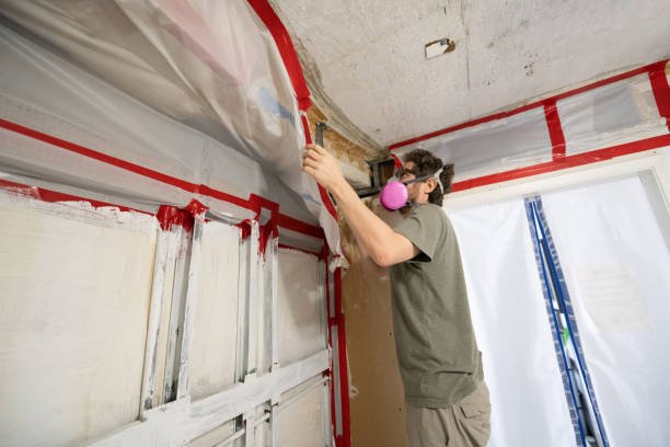 Best Environmental Consulting for Mold Prevention  in Oak Valley, NJ